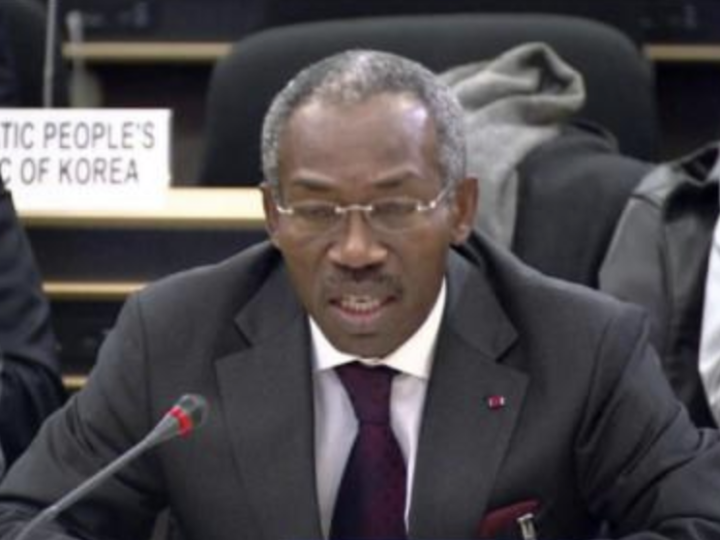 Le Cameroun dénonce le blanchiment du bois illégal par des forestiers falsifiant les documents administratifs
